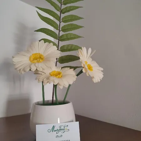 Margherita Bed & Breakfast Putignano